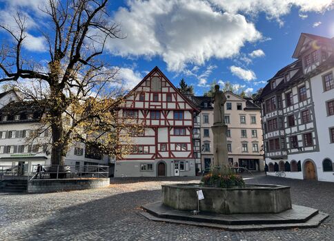 Historischer Stadtplatz mit einem runden Brunnen und einer Statue in der Mitte. Umgeben von Fachwerkhäusern; links steht ein großer Baum, der Himmel ist blau mit Wolken.