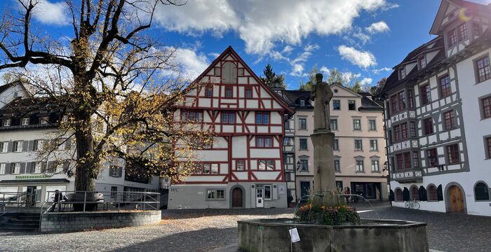 Historischer Stadtplatz mit einem runden Brunnen und einer Statue in der Mitte. Umgeben von Fachwerkhäusern; links steht ein großer Baum, der Himmel ist blau mit Wolken.