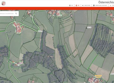 Kartenausschnitt eines österreichischen Katastergebiets: Parzellen und Felder in Grün, Straßenverläufe und einige Gebäude sichtbar.