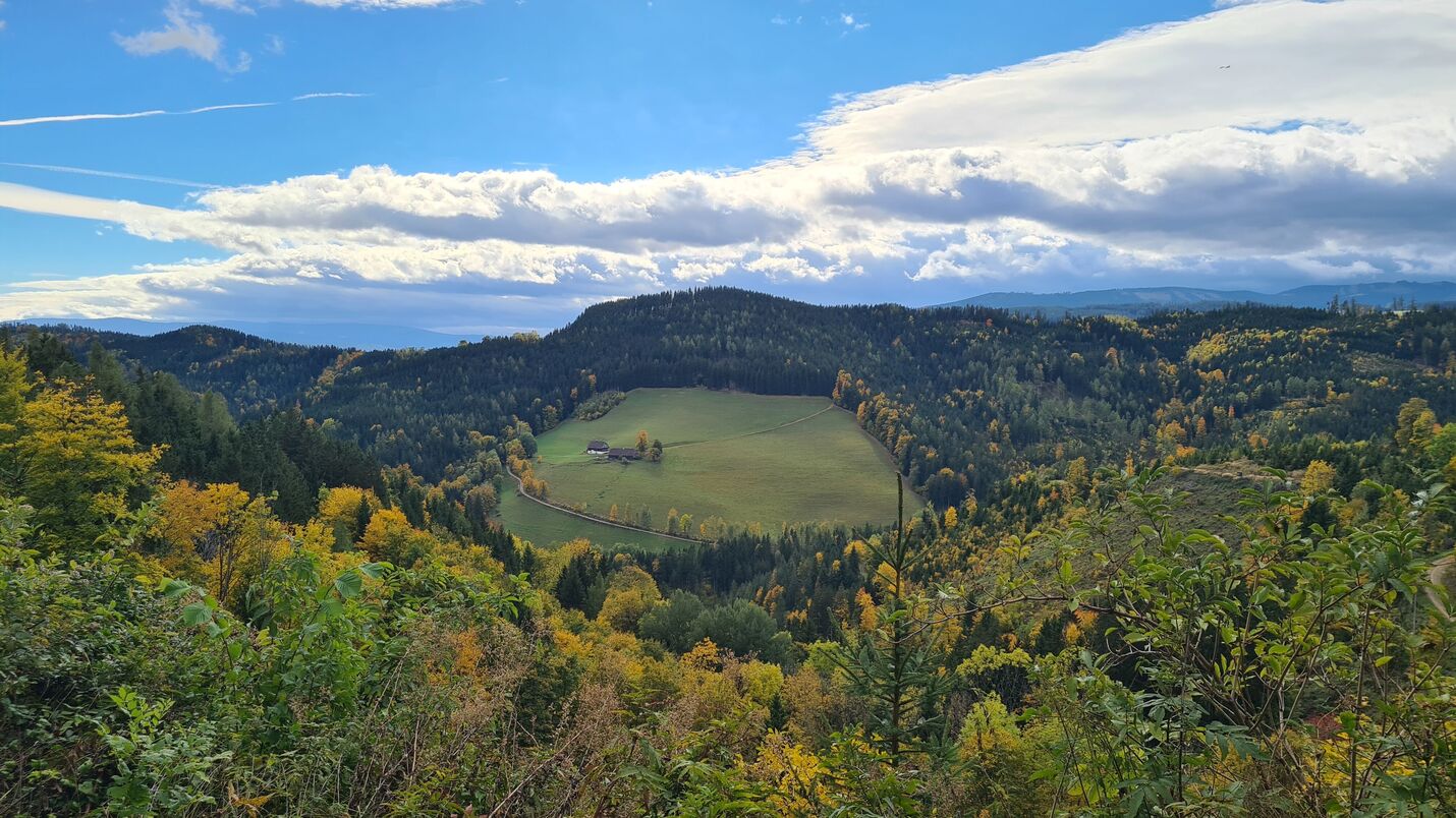 Liegenschaftsverwaltung von rmDATA in der Diözese Graz-Seckau