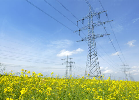 Weite Landschaft mit Gelb-Rapsfeld und mehreren Hochspannungsmasten; durch sie verlaufen Stromleitungen, während der blaue Himmel mit wenigen Wolken zu sehen ist.