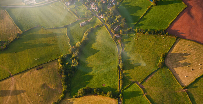 Luftbild einer ländlichen Felderlandschaft: grüne und braune Feldparzellen, durch Hecken- und Wegestrukturen getrennt, mit vereinzelten Gebäuden und Baumgruppen; sanftes Licht über dem Land.