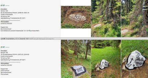 Eine Waldszene: Mehrere flache, weiße Steine liegen auf moosigem Boden zwischen Bäumen. Auf den Steinen sind schwarze Ziffern und Symbole gemalt, einige zeigen Kreuze oder Nummern. Die Umgebung wirkt ruhig und naturbelassen.