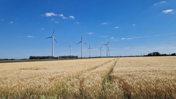 Ein weites Getreidefeld mit goldenen Ähren im Vordergrund; am Horizont stehen mehrere Windräder unter einem klaren blauen Himmel mit wenigen Wolken.