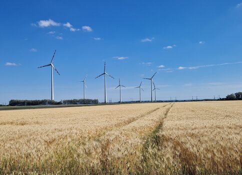 Ein weites Getreidefeld mit goldenen Ähren im Vordergrund; am Horizont stehen mehrere Windräder unter einem klaren blauen Himmel mit wenigen Wolken.
