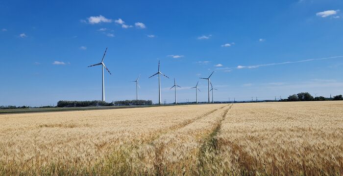 Ein weites Getreidefeld mit goldenen Ähren im Vordergrund; am Horizont stehen mehrere Windräder unter einem klaren blauen Himmel mit wenigen Wolken.