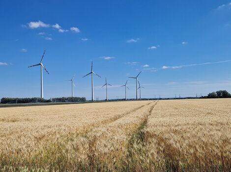 Ein weites Getreidefeld mit goldenen Ähren im Vordergrund; am Horizont stehen mehrere Windräder unter einem klaren blauen Himmel mit wenigen Wolken.